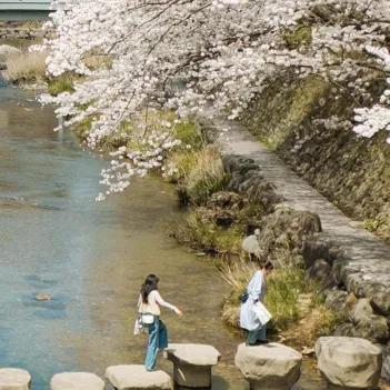 Soil Nagatoyumoto Usp 03