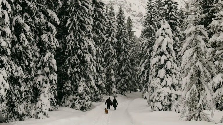 Rote Wand Gourmet Hotel The Originals