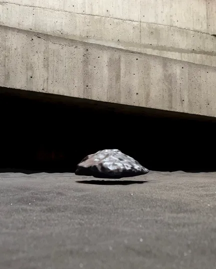 16 Art Exhibitions 24 Stankievech