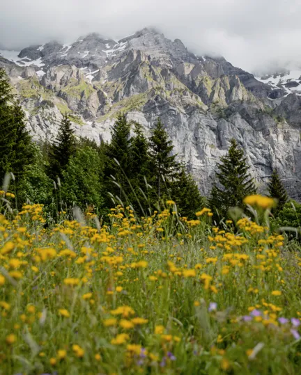 Destination Switzerland 11