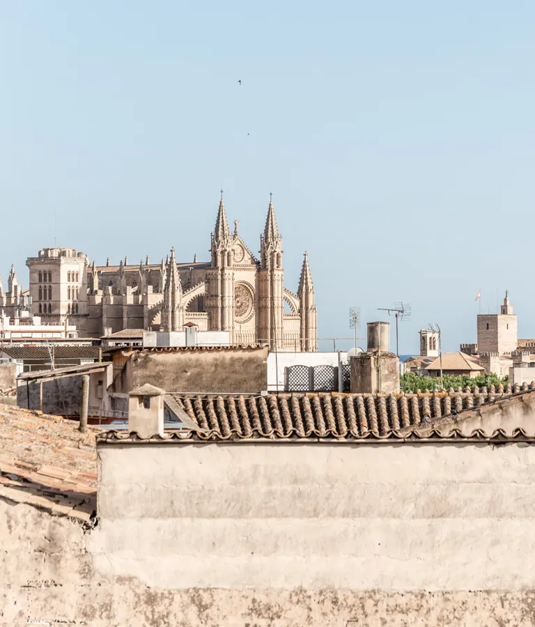 Conception By Nobis Theme Box 02 City