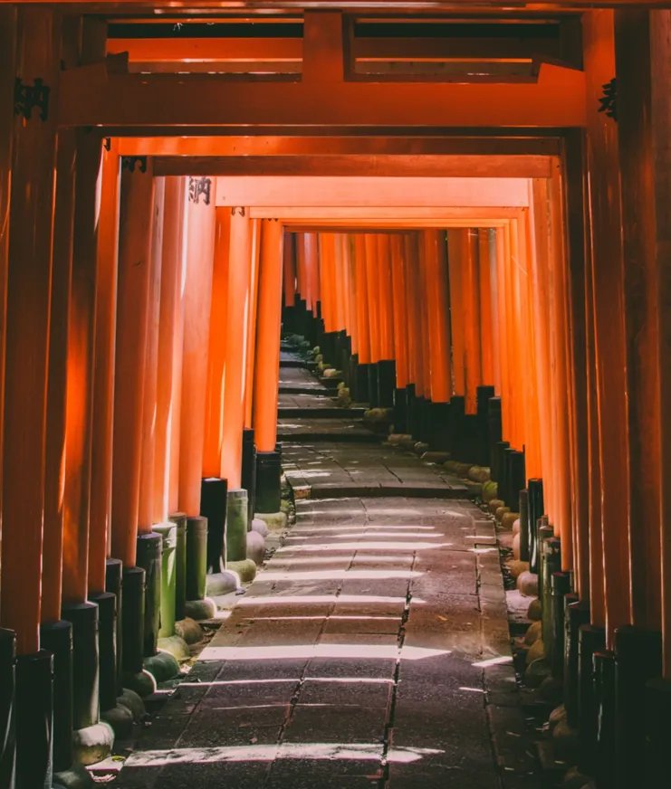 DH Japan Bullet Train 12