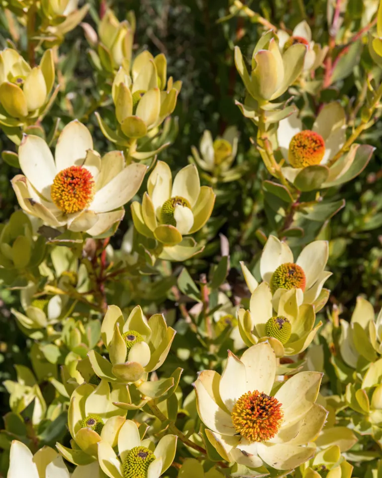 22 Destination Us West Coast