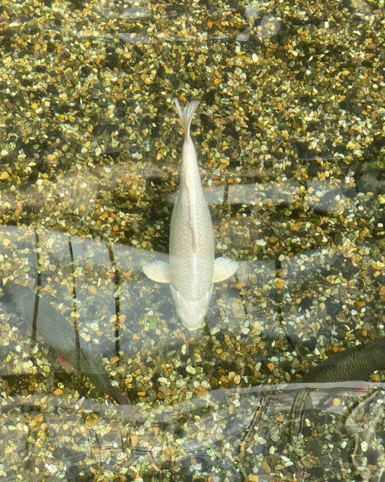 10 Destination London Barbican