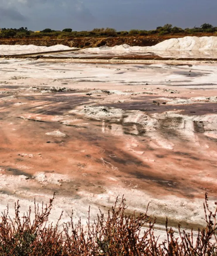 06 Destination Portugal Algarve East Formosa National Park