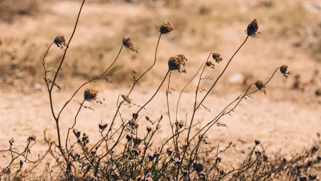 DH Destination Greece 05 (1)