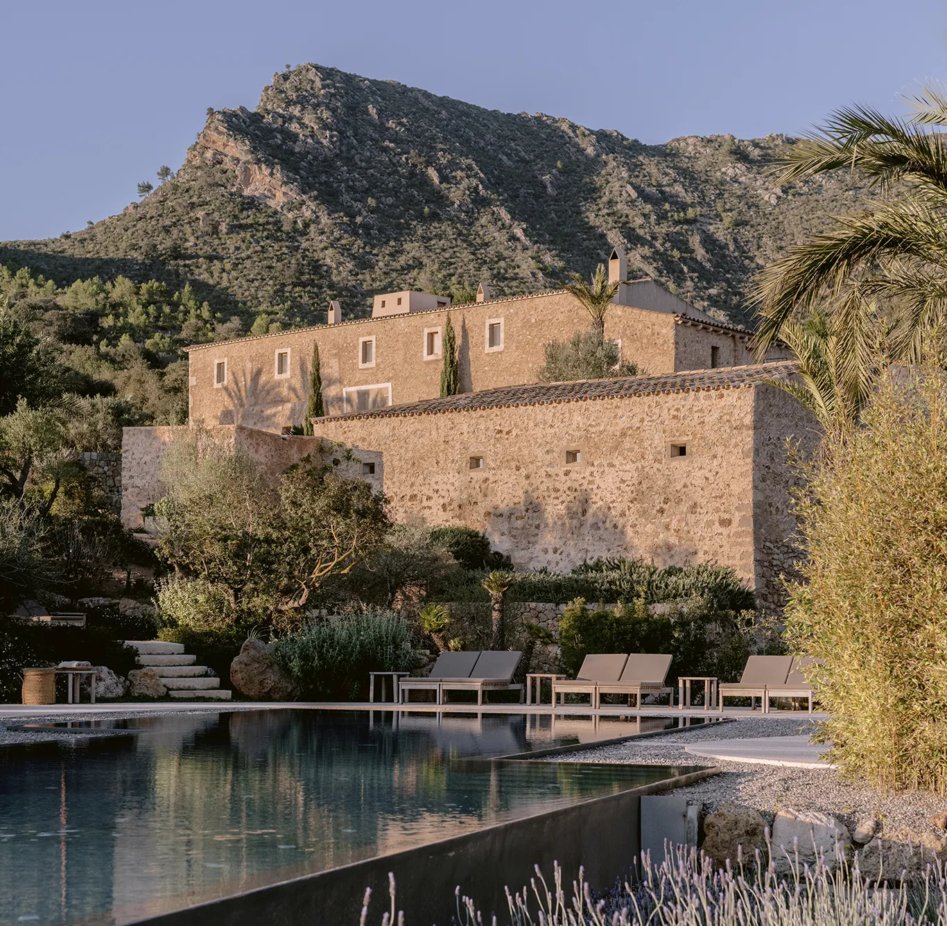 Advanced Purchse Lp (1)