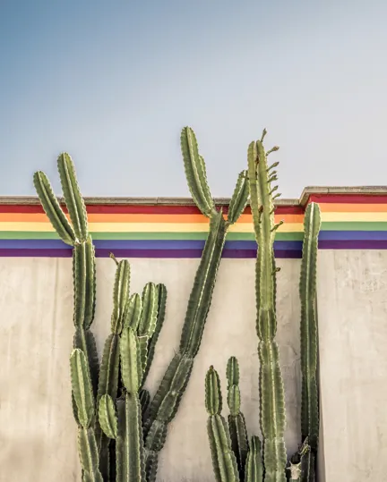 005 BP Pride 2022 Cacti