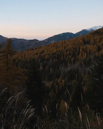20 Destination South Tyrol Mountain Forest Sundown