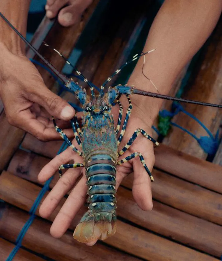 Destination Lombok Image 15