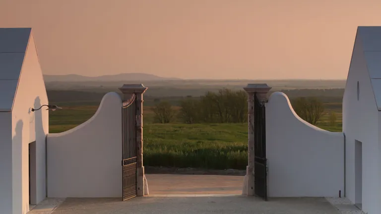 001 Biodynamics Vineyards Header