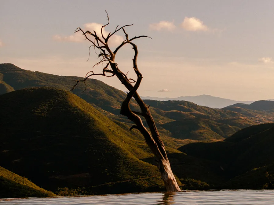 Destinations Sunlight And Agave Part 3