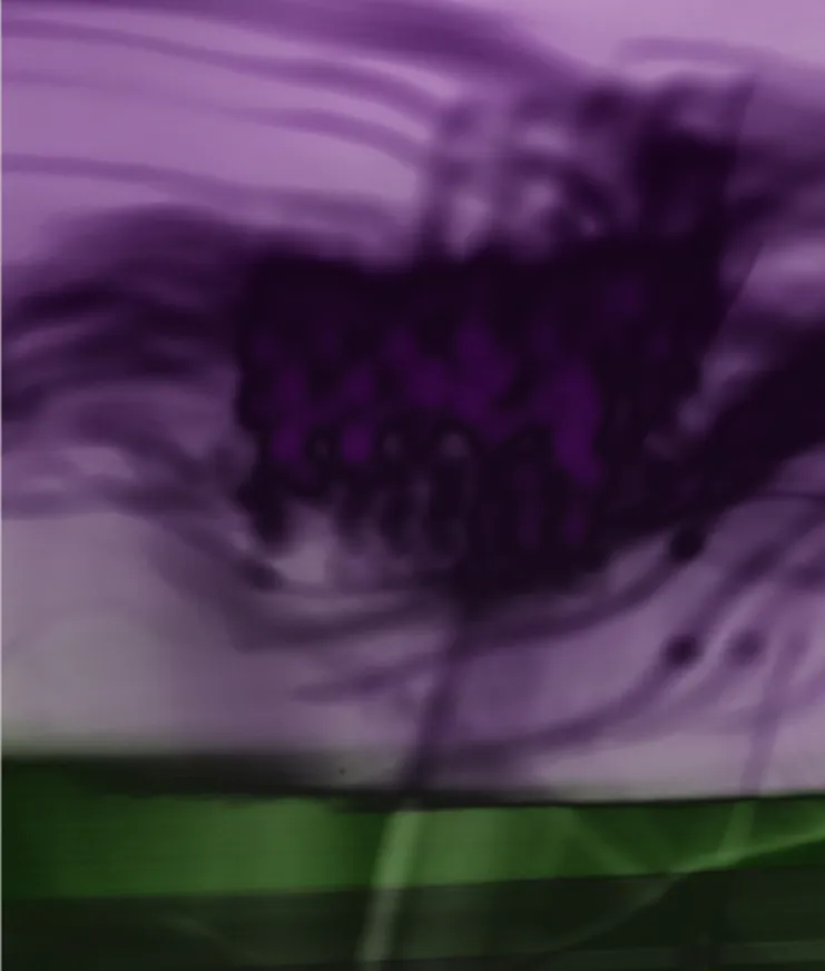 28 Whitney Biennale New York