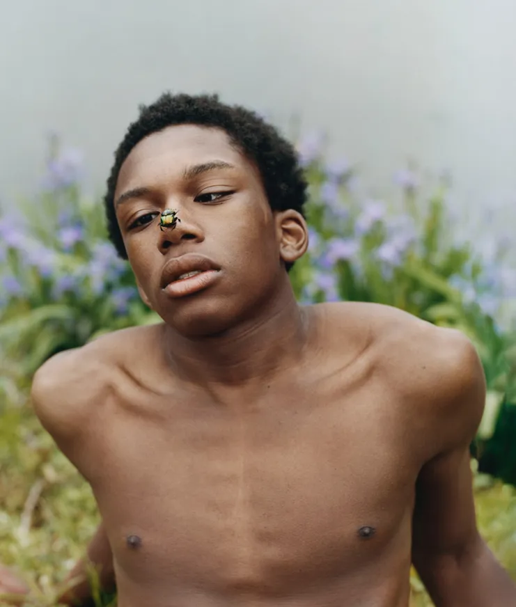 19 Art Exhibitions 24 Mitchell