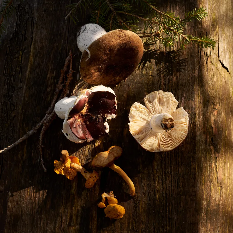 Microsoftteams Image (115)